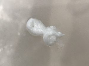 資生堂メンのクレンジングフォームの泡立てる前