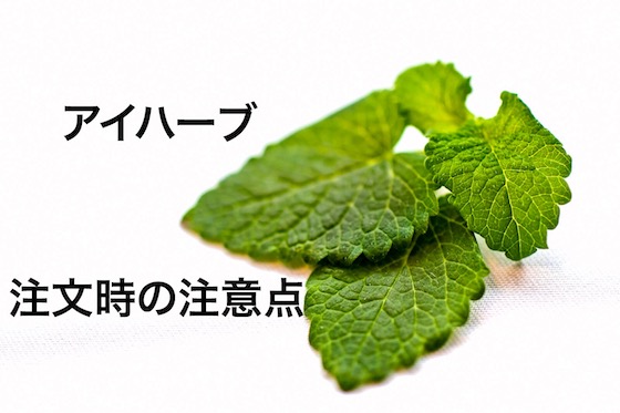 アイハーブの注文時の注意点イメージ