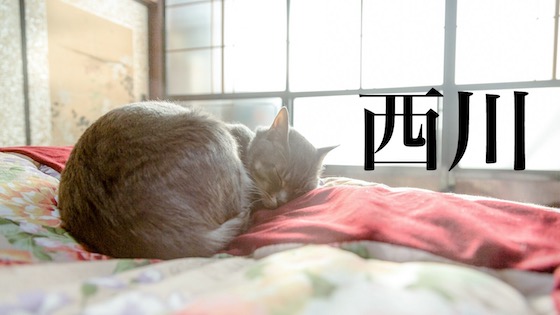 西川の寝具のイメージ画像